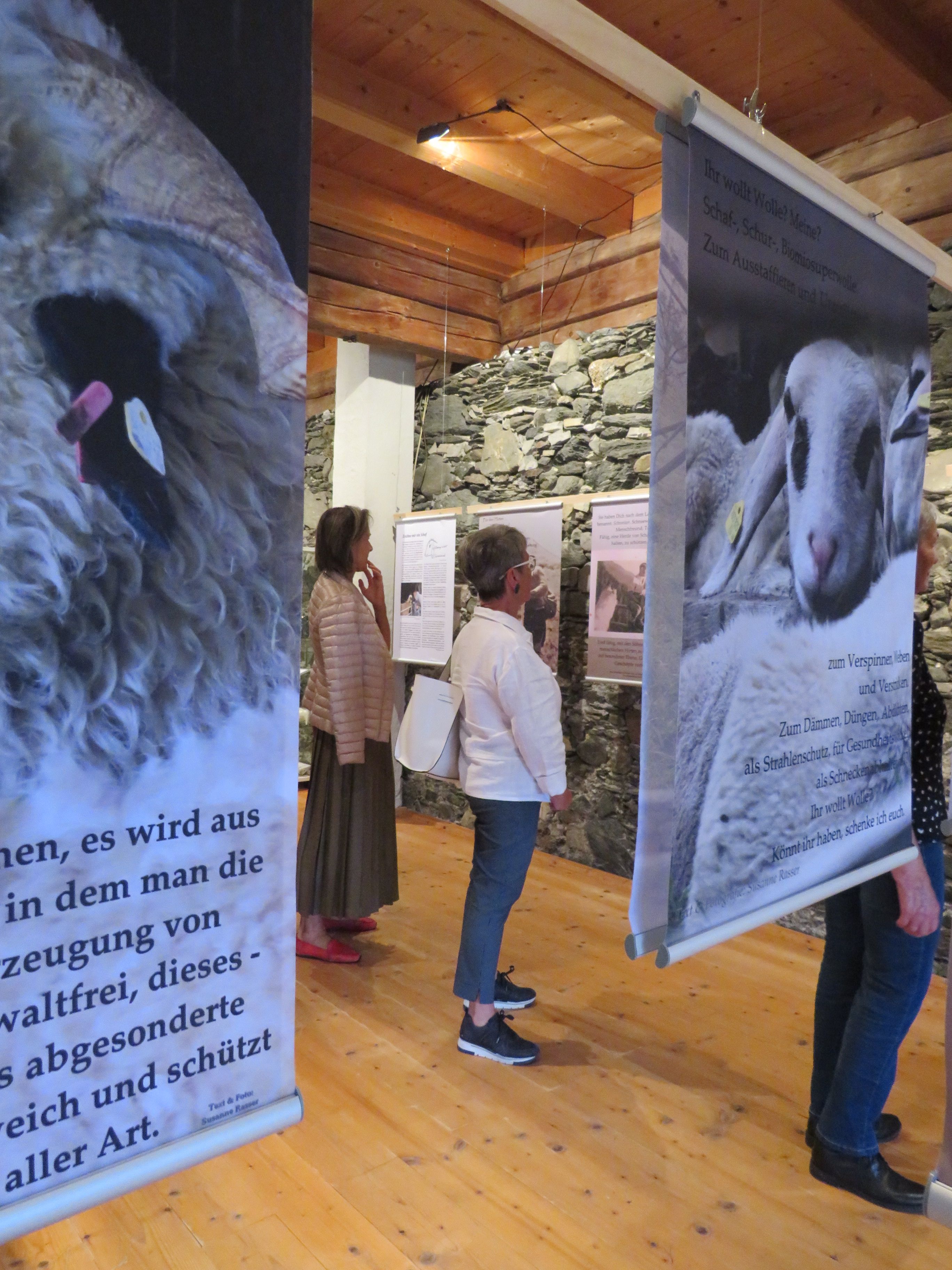 Schaf Ausstellung